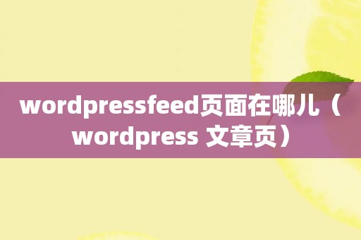 wordpressfeed页面在哪儿（wordpress 文章页）