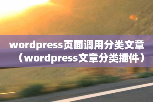 wordpress页面调用分类文章（wordpress文章分类插件）