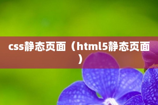 css静态页面（html5静态页面）