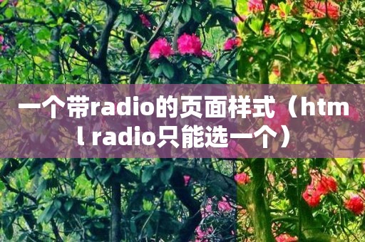 一个带radio的页面样式（html radio只能选一个）