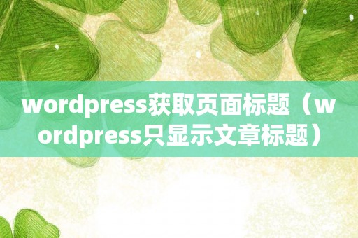 wordpress获取页面标题（wordpress只显示文章标题）