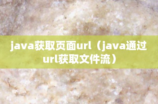 java获取页面url（java通过url获取文件流）