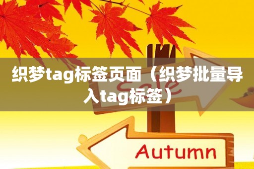 织梦tag标签页面（织梦批量导入tag标签）