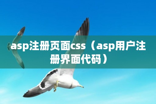 asp注册页面css（asp用户注册界面代码）