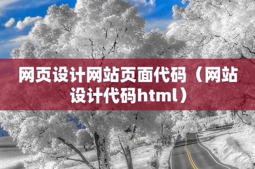 网页设计网站页面代码（网站设计代码html）