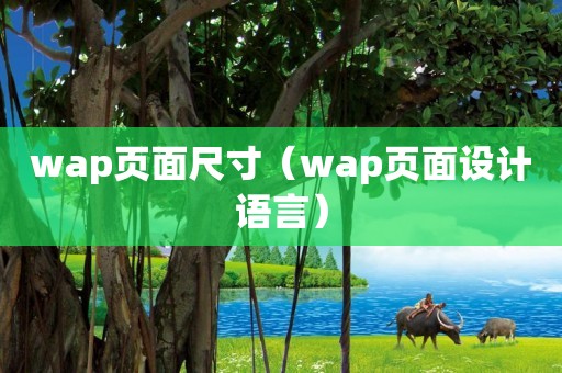 wap页面尺寸（wap页面设计语言）