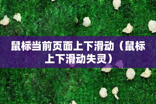 鼠标当前页面上下滑动（鼠标上下滑动失灵）