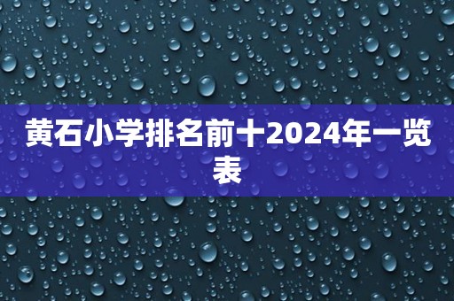 黄石小学排名前十2024年一览表