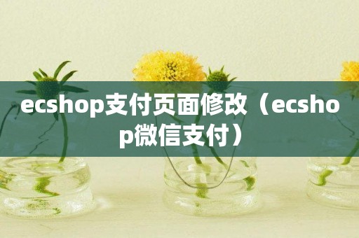 ecshop支付页面修改（ecshop微信支付）