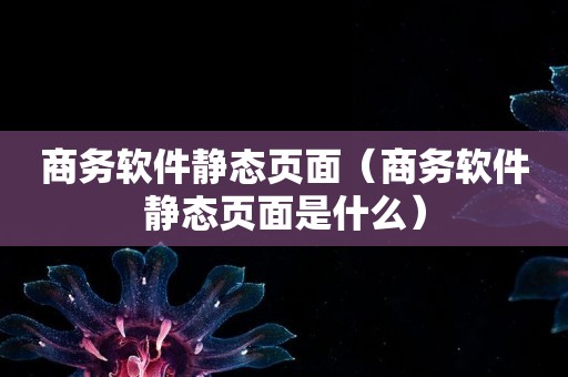 商务软件静态页面（商务软件静态页面是什么）