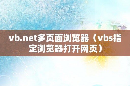 vb.net多页面浏览器（vbs指定浏览器打开网页）