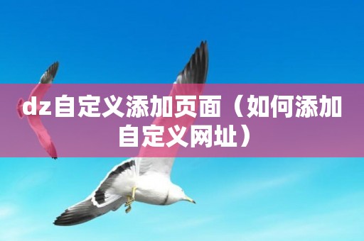 dz自定义添加页面（如何添加自定义网址）