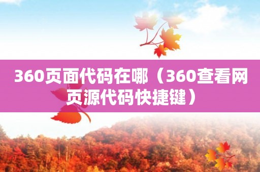 360页面代码在哪（360查看网页源代码快捷键）