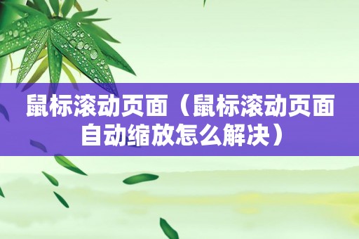 鼠标滚动页面（鼠标滚动页面自动缩放怎么解决）