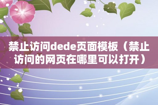 禁止访问dede页面模板（禁止访问的网页在哪里可以打开）