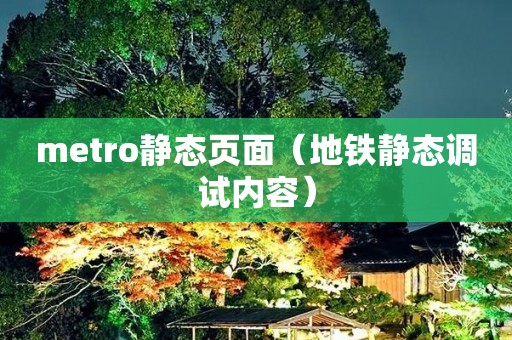 metro静态页面（地铁静态调试内容）