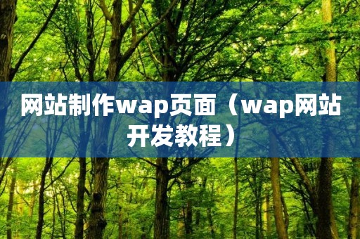 网站制作wap页面（wap网站开发教程）