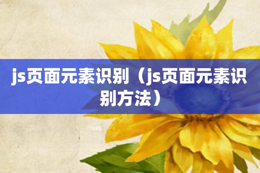 js页面元素识别（js页面元素识别方法）