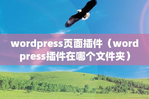 wordpress页面插件（wordpress插件在哪个文件夹）