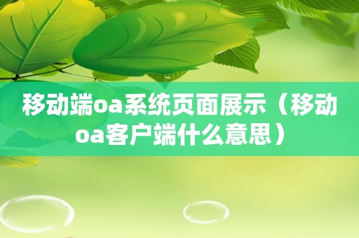 移动端oa系统页面展示（移动oa客户端什么意思）