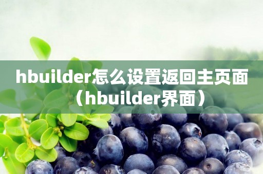 hbuilder怎么设置返回主页面（hbuilder界面）