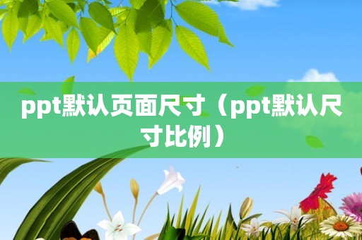 ppt默认页面尺寸（ppt默认尺寸比例）