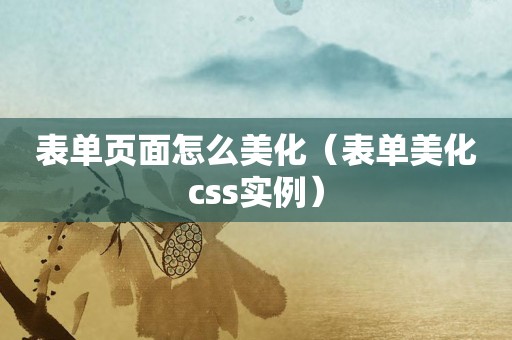 表单页面怎么美化（表单美化css实例）