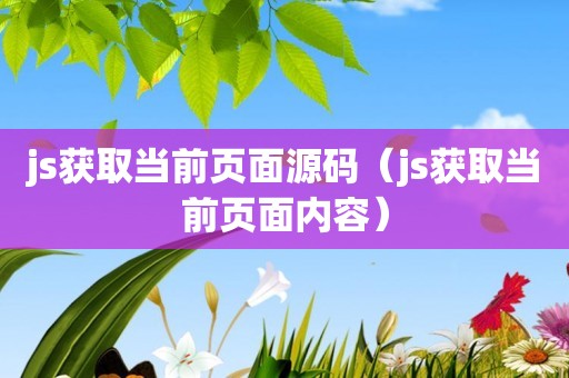 js获取当前页面源码（js获取当前页面内容）