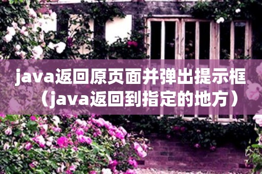 java返回原页面并弹出提示框（java返回到指定的地方）