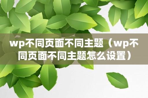 wp不同页面不同主题（wp不同页面不同主题怎么设置）