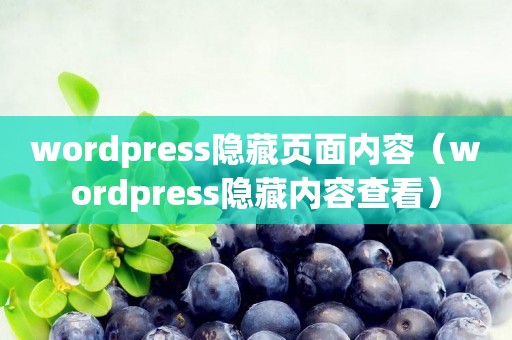 wordpress隐藏页面内容（wordpress隐藏内容查看）